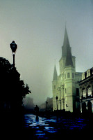 New Orleans Stock
